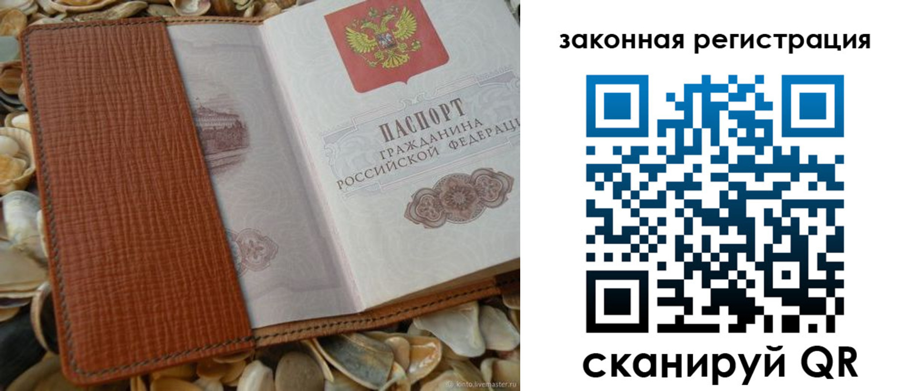 прописка паспорт в Воронежской области